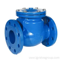 Duction Cast Iron Body Flang Swing Check Valve